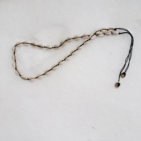 Vintage African Cowry Shell Money Belt From the Republic of the Congo - Picture 2 of 6